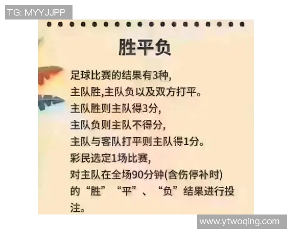 全球足球国际赛最新排名分析与各国球队表现评估