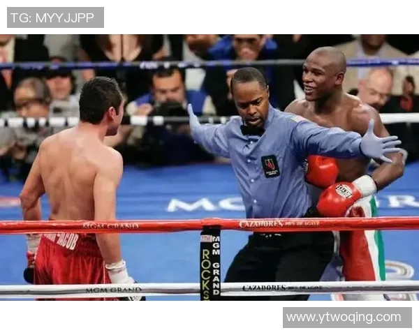 梅威瑟与库托的巅峰对决揭示拳击界的传奇与荣耀之路